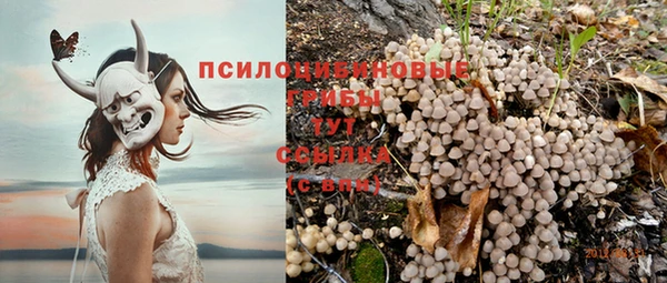 PSILOCYBIN Белоозёрский