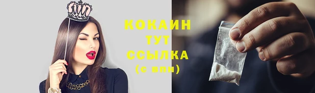 бошки Белокуриха