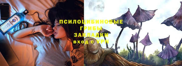 PSILOCYBIN Белоозёрский